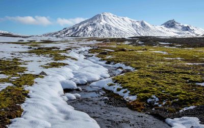 The Arctic Carbon Balance: Soils Will Hold the Key